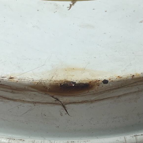 Vintage 60s Schaefer Beer Litho Tin Metal Serving Tray Advertising MCM Barware - Picture 10 of 10